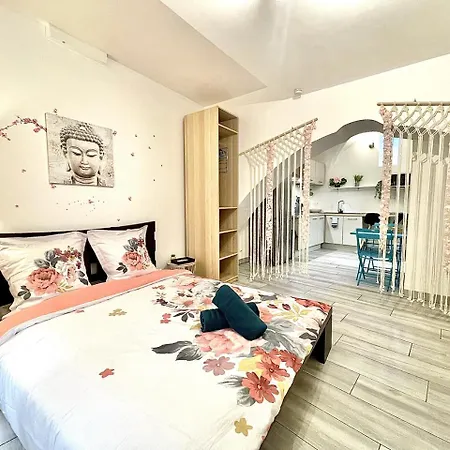Apartment *le Lotus*fiber Wifi*hyper Center* *